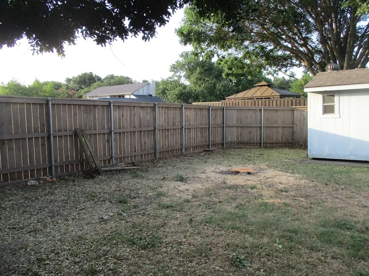 Cleared yard after professional tree removal in North Bergen